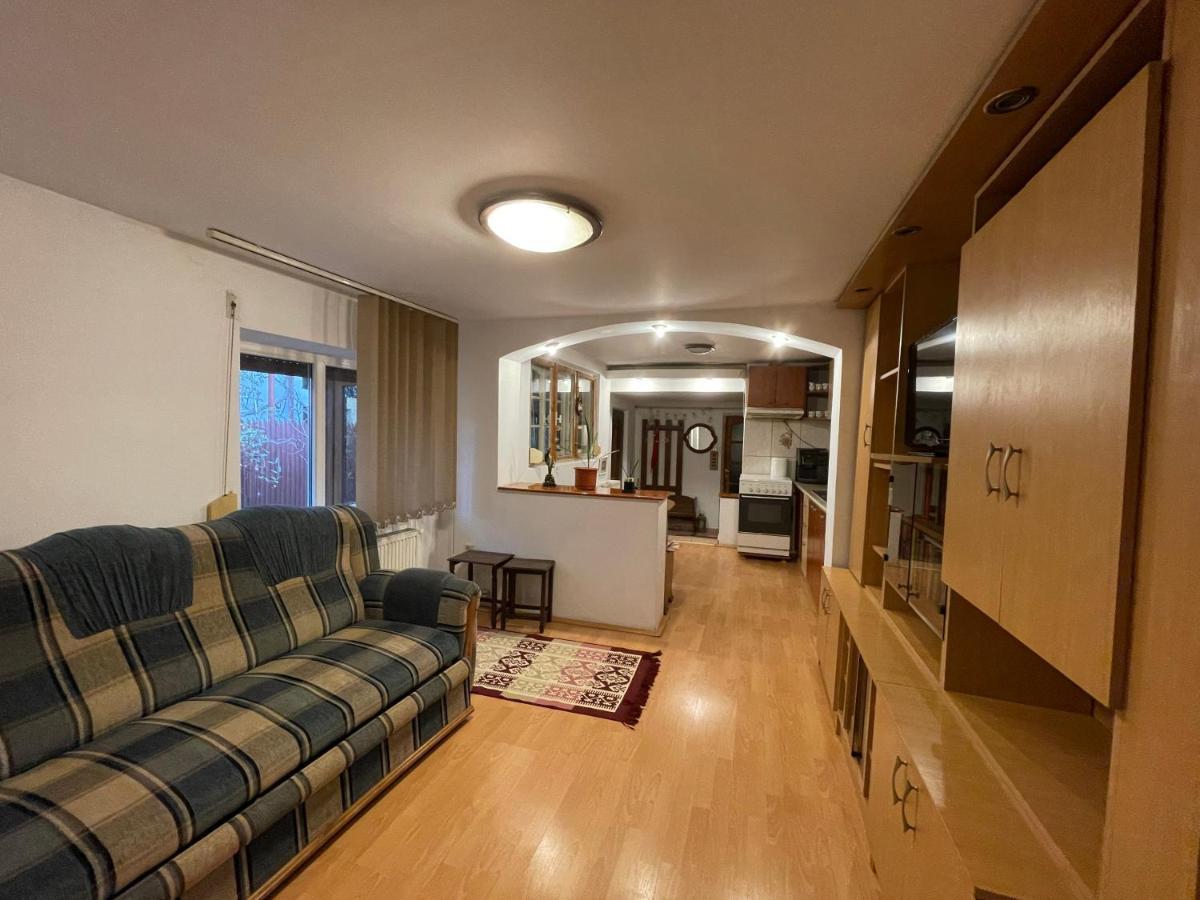 クラヨーヴァ Ada-Ini Houseヴィラ エクステリア 写真