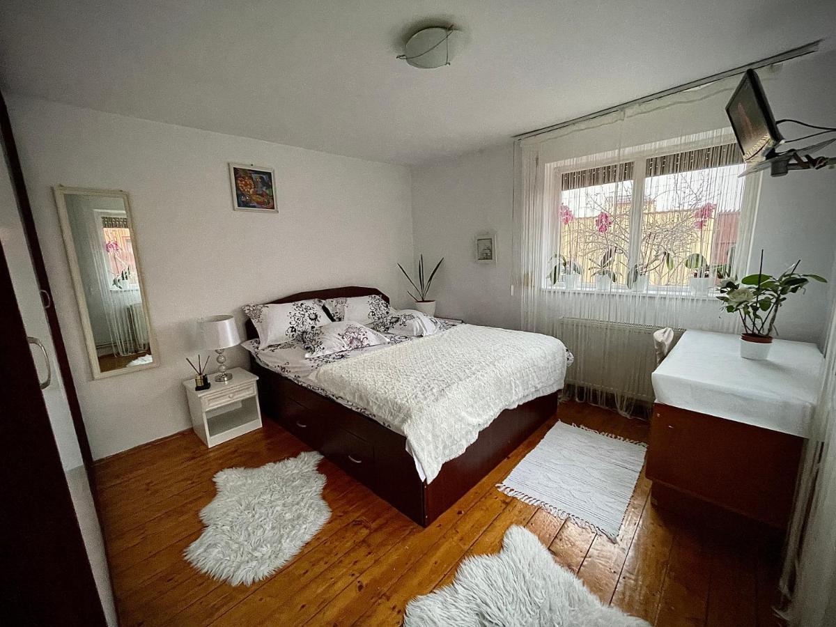 クラヨーヴァ Ada-Ini Houseヴィラ エクステリア 写真